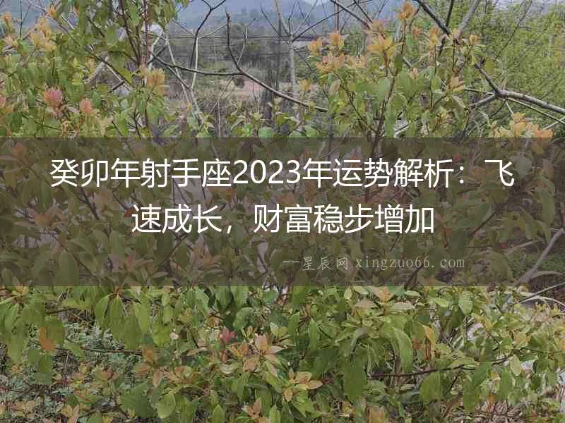 癸卯年射手座2023年運勢解析：飛速成長，財富穩步增加