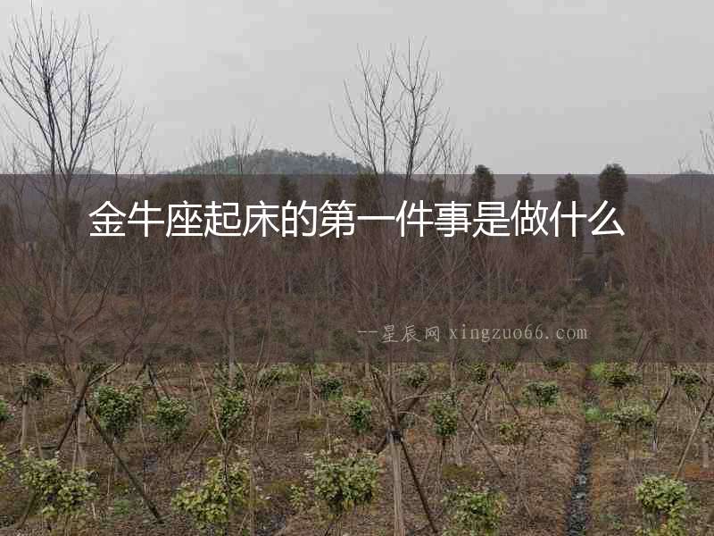 金牛座起床的第一件事是做什么