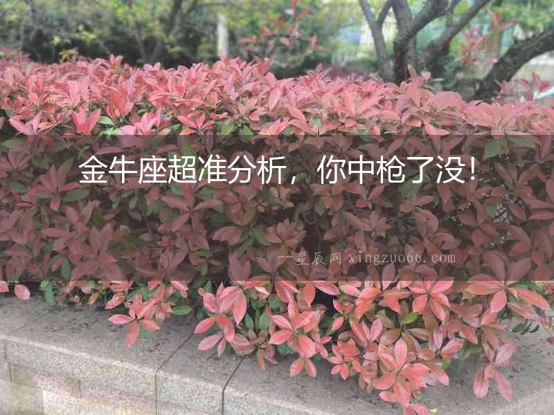 金牛座超準(zhǔn)分析，你中槍了沒！