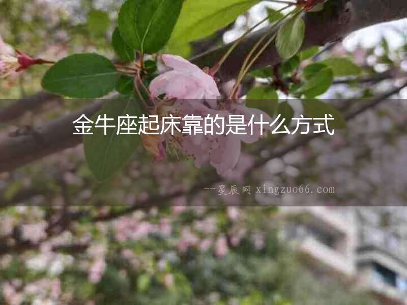 金牛座起床靠的是什么方式