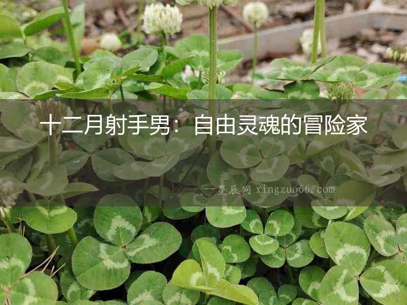 十二月射手男：自由靈魂的冒險家