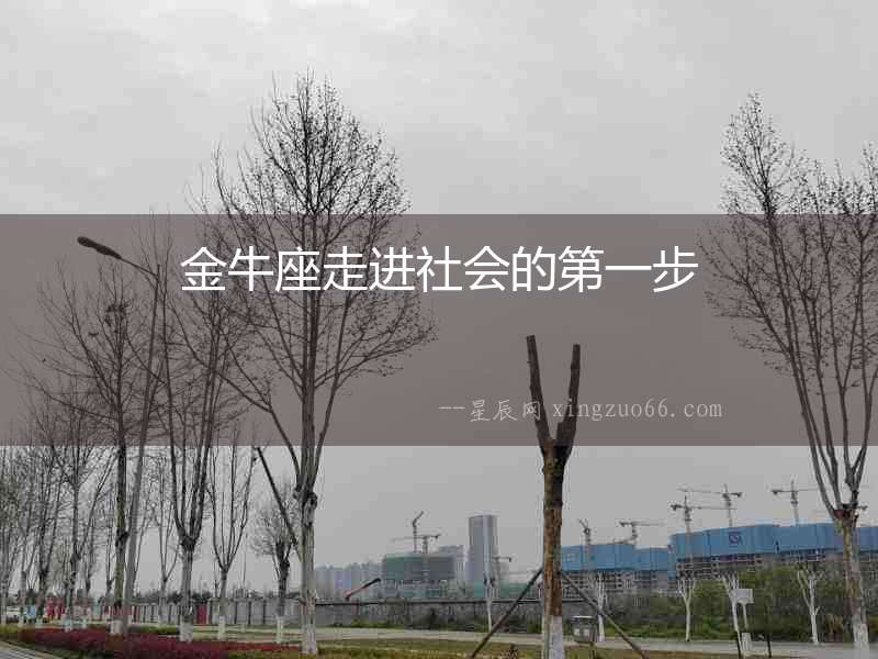 金牛座走進(jìn)社會的第一步