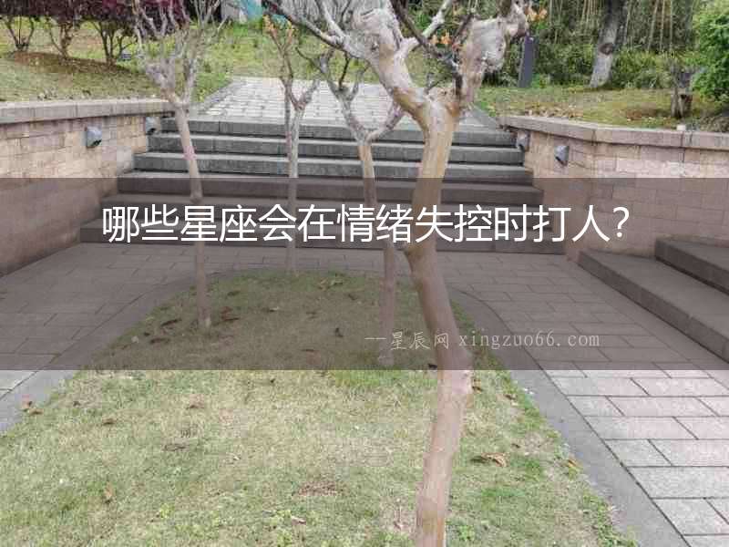 哪些星座會在情緒失控時打人？