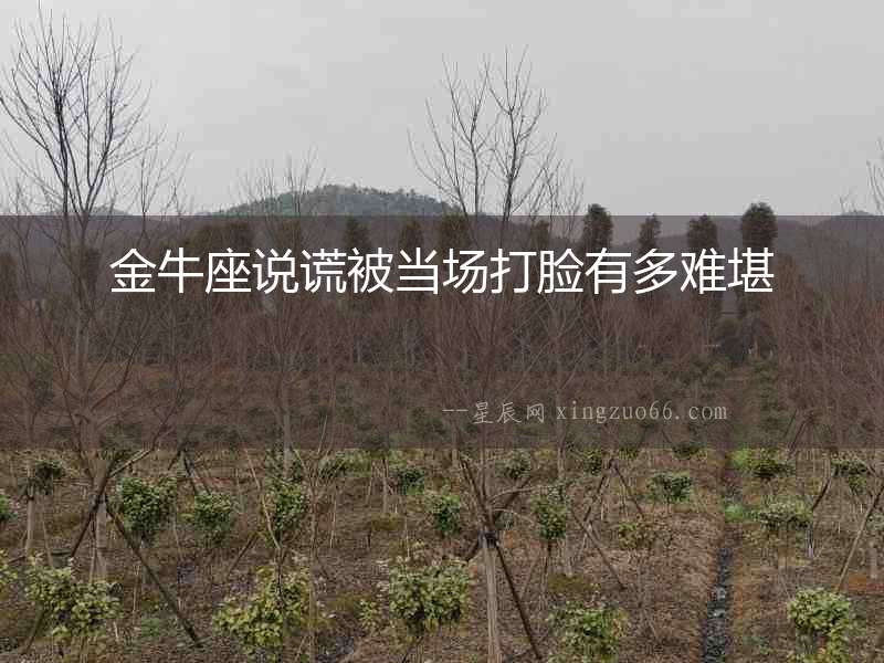 金牛座說謊被當場打臉有多難堪