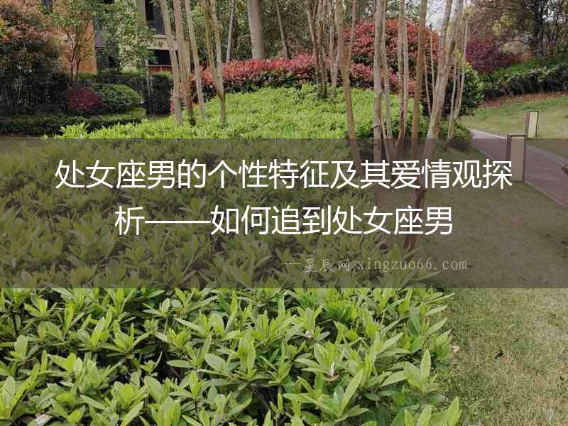 處女座男的個性特征及其愛情觀探析——如何追到處女座男