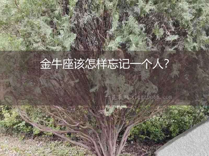 金牛座該怎樣忘記一個人？