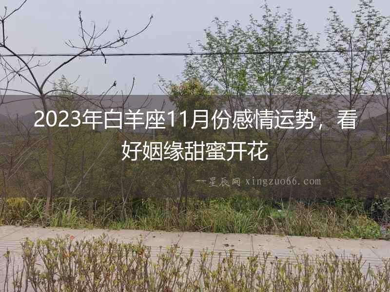 2023年白羊座11月份感情運勢，看好姻緣甜蜜開花