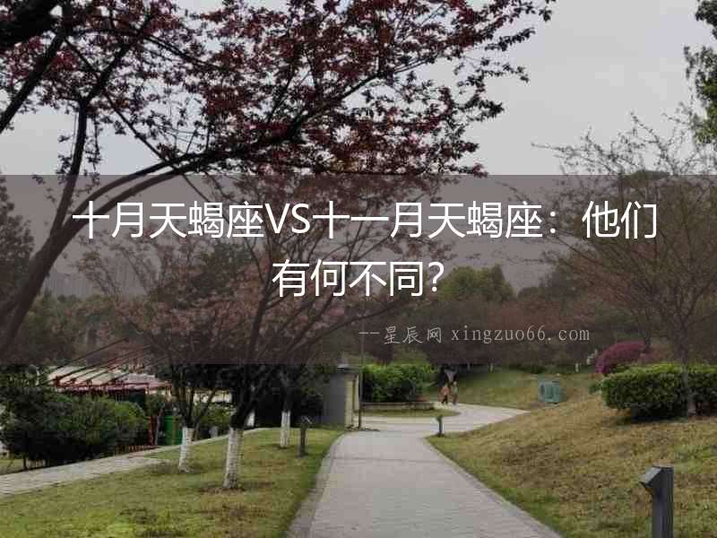  十月天蝎座VS十一月天蝎座：他們有何不同？