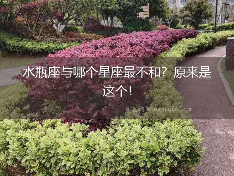 水瓶座與哪個(gè)星座最不和？原來是這個(gè)！