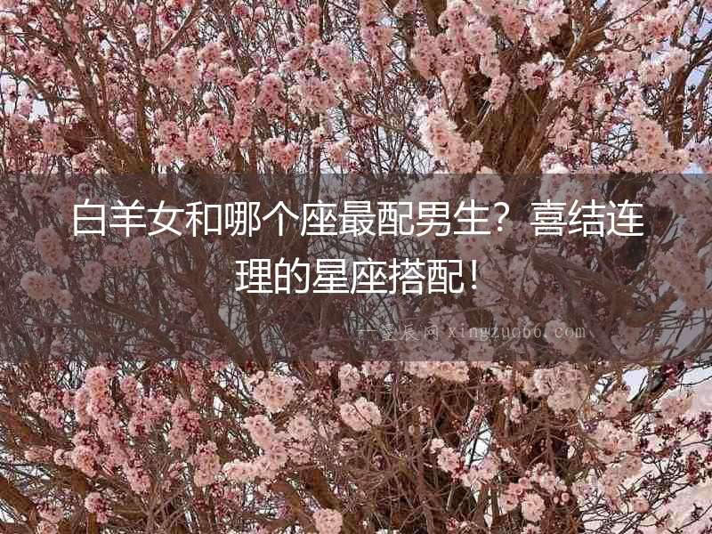 白羊女和哪個座最配男生？喜結連理的星座搭配！