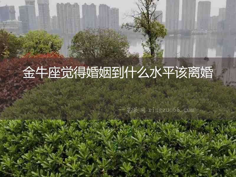 金牛座覺得婚姻到什么水平該離婚