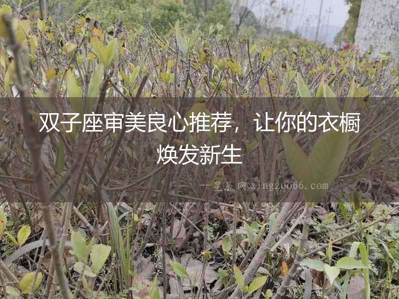 雙子座審美良心推薦，讓你的衣櫥煥發(fā)新生