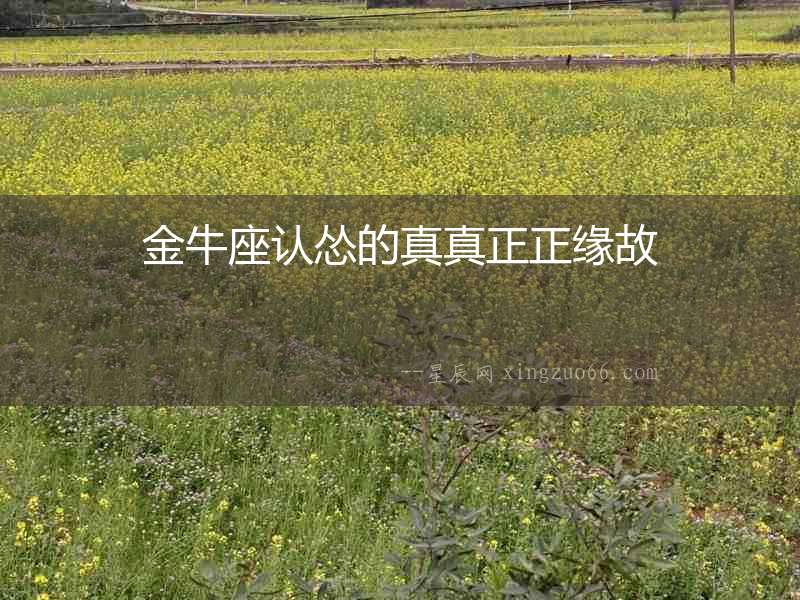 金牛座認慫的真真正正緣故