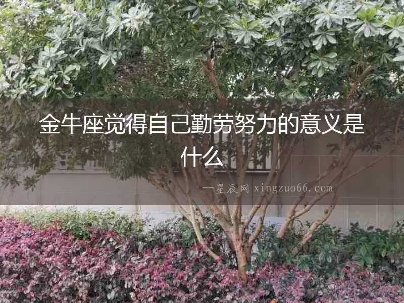 金牛座覺得自己勤勞努力的意義是什么