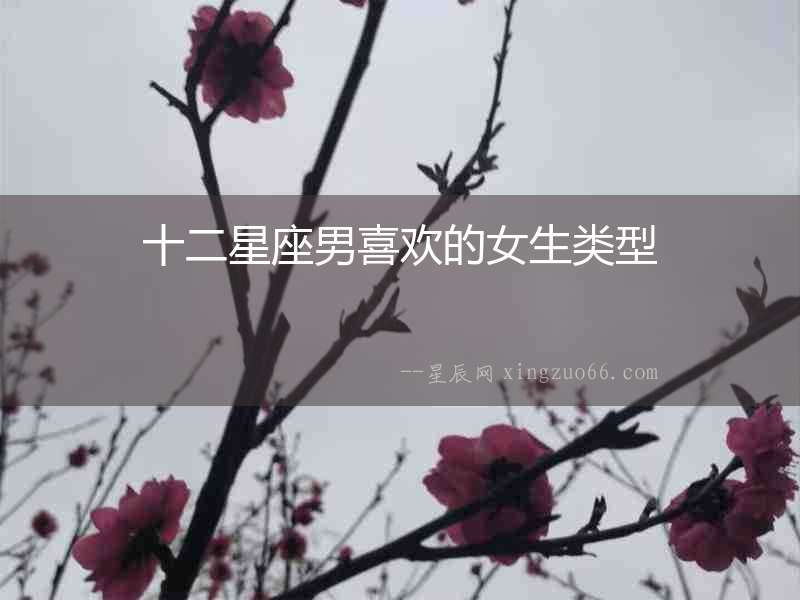 十二星座男喜歡的女生類型