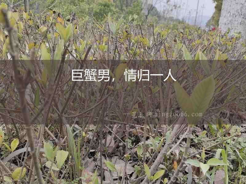 巨蟹男，情歸一人
