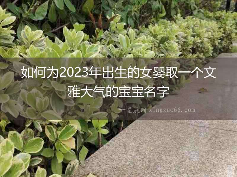如何為2023年出生的女嬰取一個文雅大氣的寶寶名字
