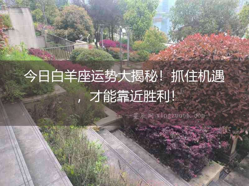 今日白羊座運勢大揭秘！抓住機遇，才能靠近勝利！