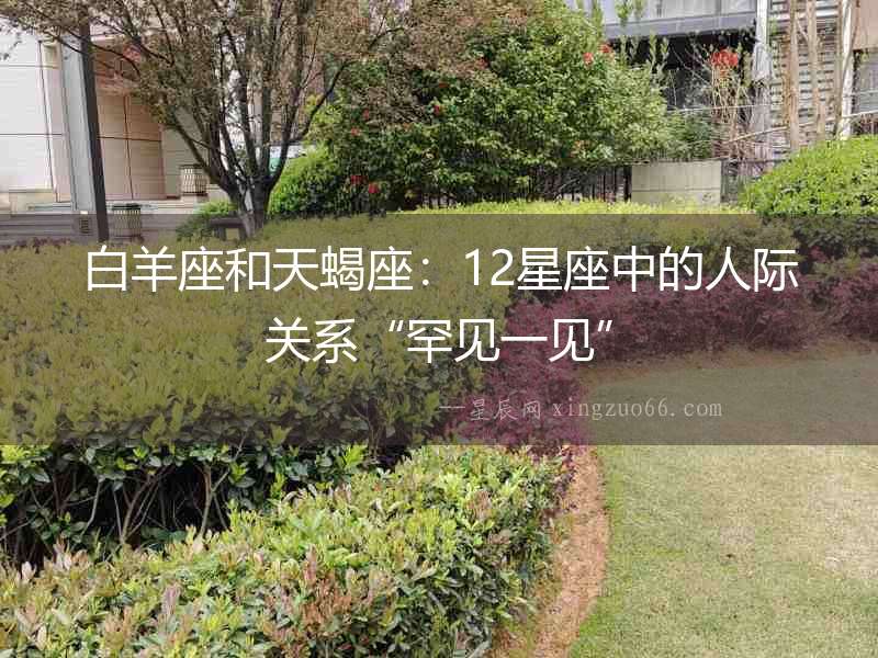 白羊座和天蝎座：12星座中的人際關(guān)系“罕見(jiàn)一見(jiàn)”