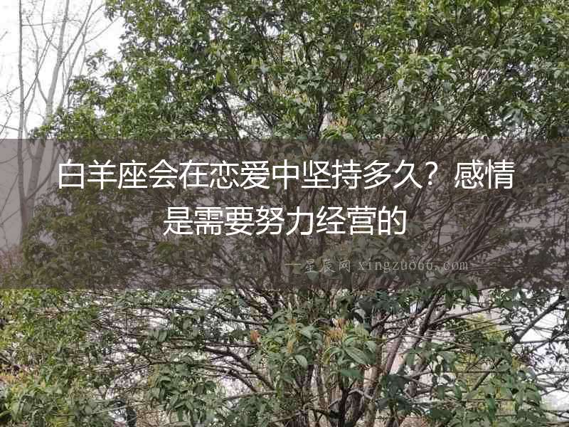 白羊座會在戀愛中堅持多久？感情是需要努力經營的