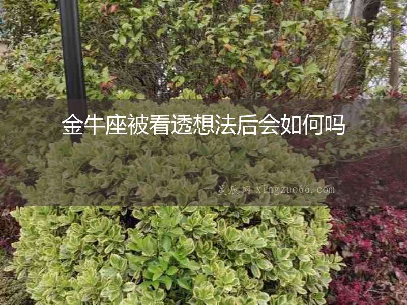金牛座被看透想法后會如何嗎