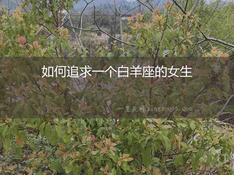 如何追求一個白羊座的女生