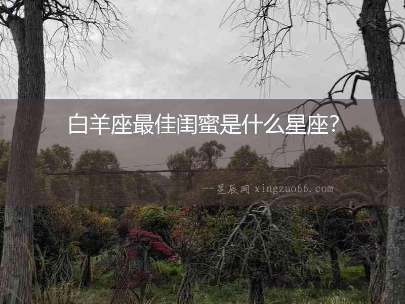 白羊座最佳閨蜜是什么星座？