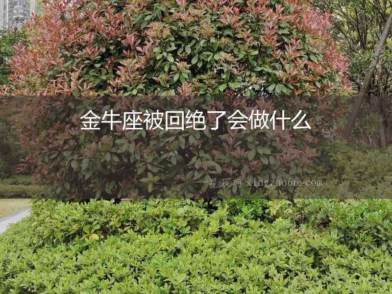 金牛座被回絕了會做什么