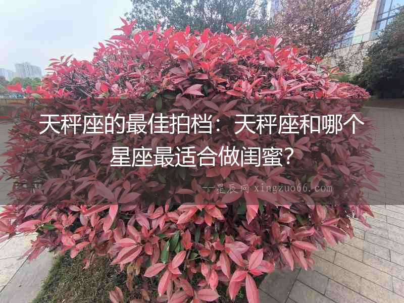 天秤座的最佳拍檔：天秤座和哪個星座最適合做閨蜜？