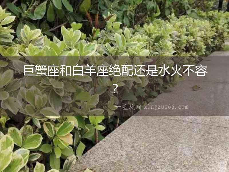 巨蟹座和白羊座絕配還是水火不容？