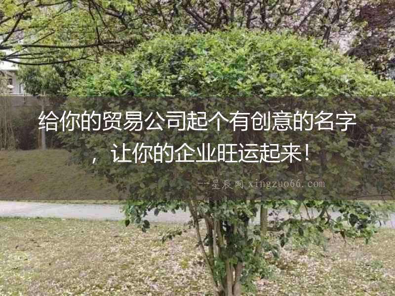 給你的貿易公司起個有創意的名字，讓你的企業旺運起來！