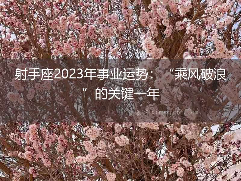 射手座2023年事業運勢：“乘風破浪”的關鍵一年