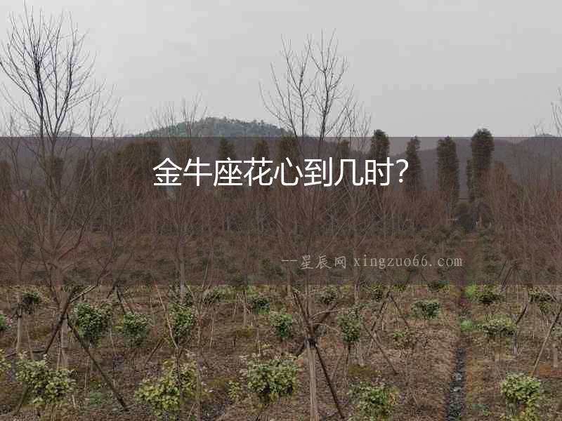 金牛座花心到幾時？