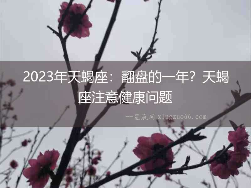 2023年天蝎座：翻盤的一年？天蝎座注意健康問題