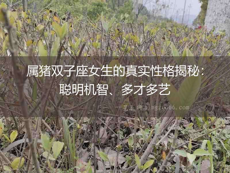 屬豬雙子座女生的真實性格揭秘：聰明機智、多才多藝