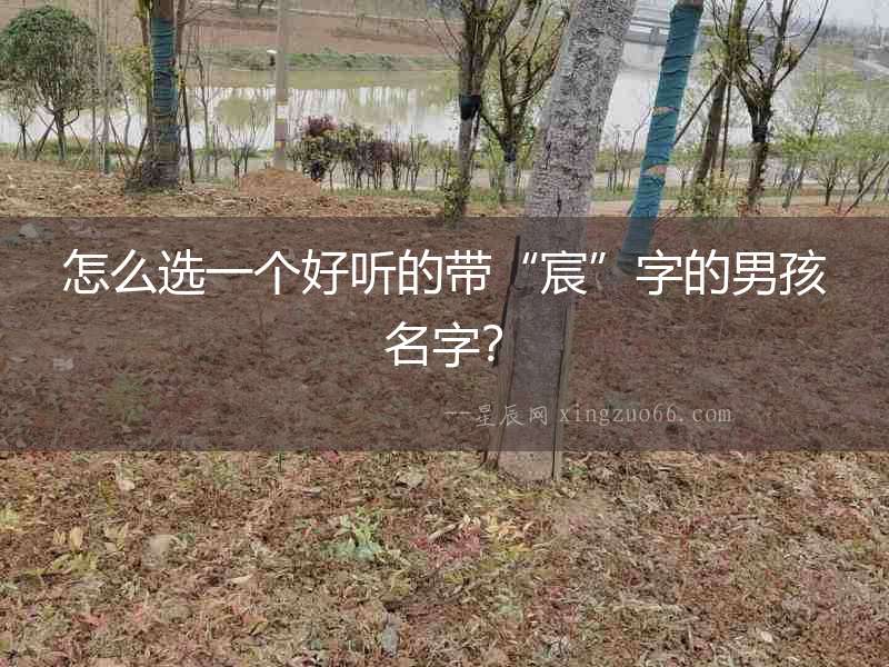 怎么選一個好聽的帶“宸”字的男孩名字？