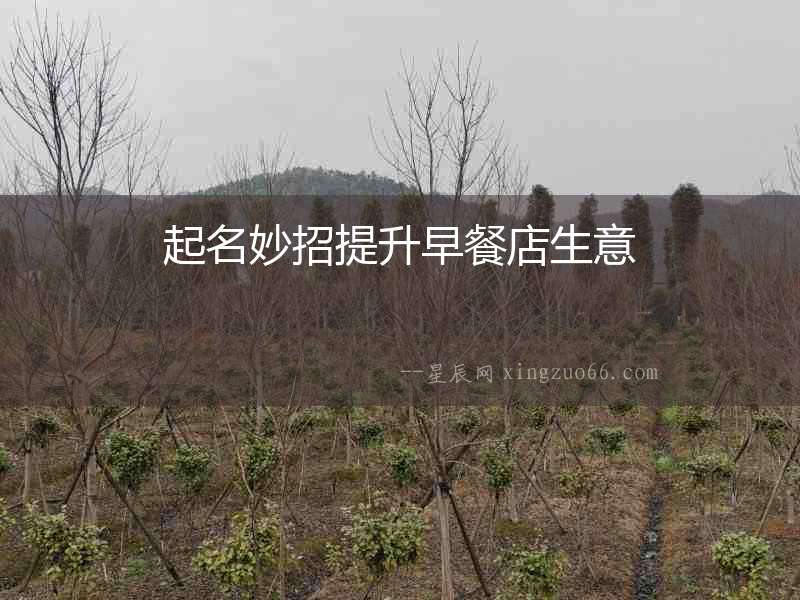 起名妙招提升早餐店生意