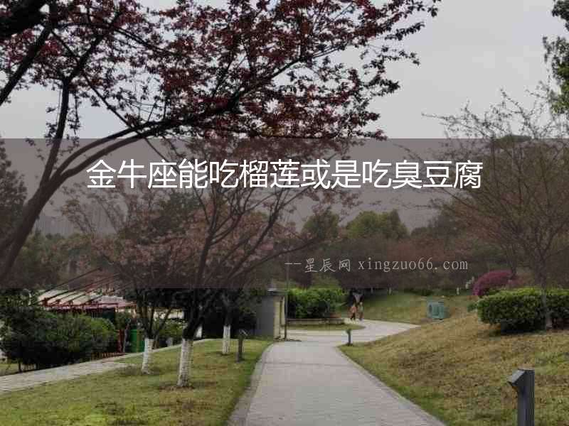 金牛座能吃榴蓮或是吃臭豆腐