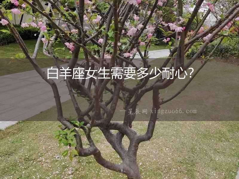 白羊座女生需要多少耐心？