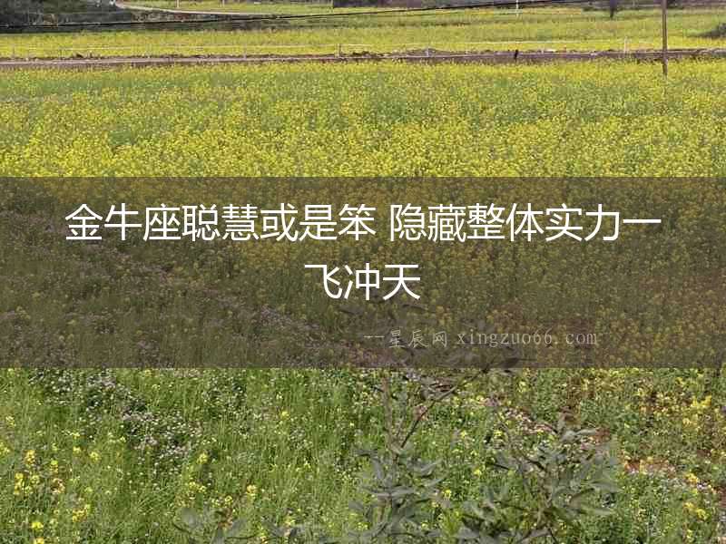 金牛座聰慧或是笨 隱藏整體實(shí)力一飛沖天