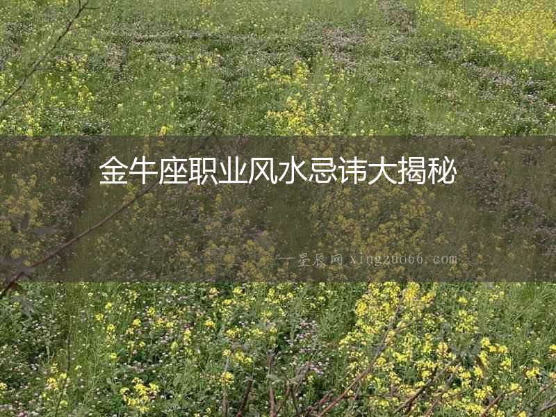 金牛座職業風水忌諱大揭秘