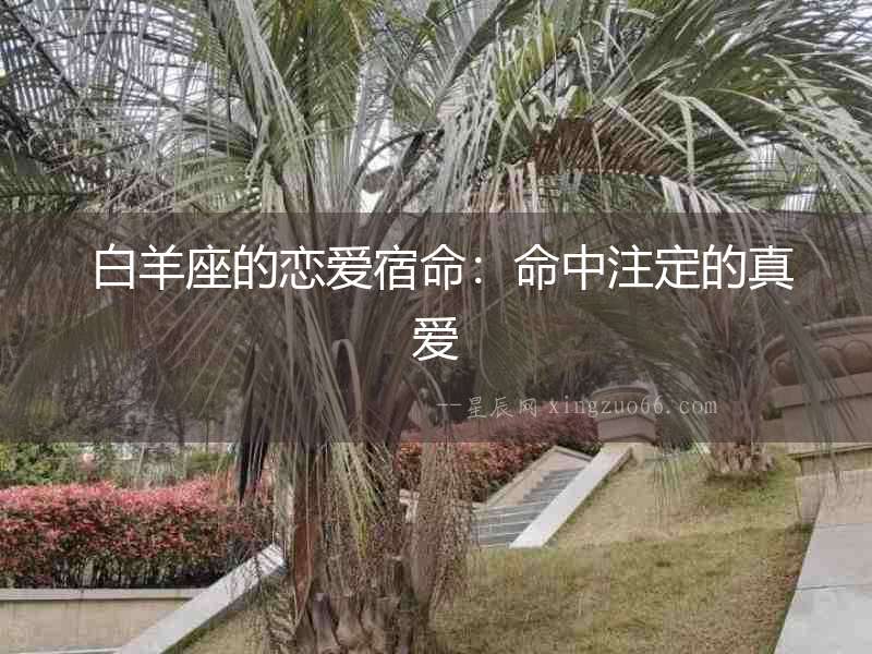  白羊座的戀愛宿命：命中注定的真愛