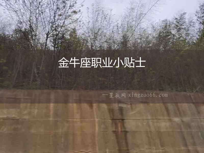 金牛座職業小貼士