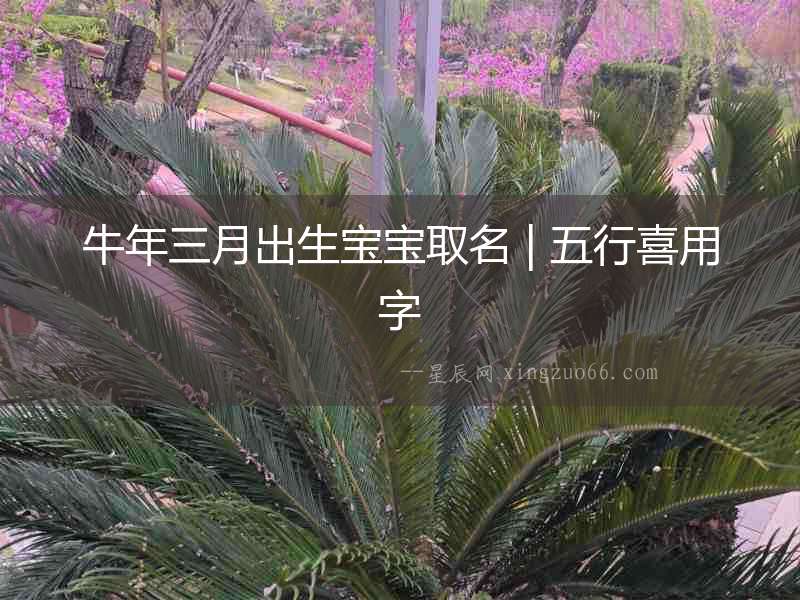 牛年三月出生寶寶取名 | 五行喜用字
