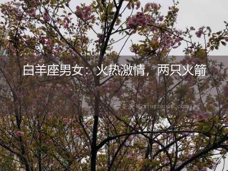 白羊座男女：火熱激情，兩只火箭