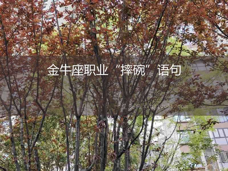 金牛座職業(yè)“摔碗”語(yǔ)句