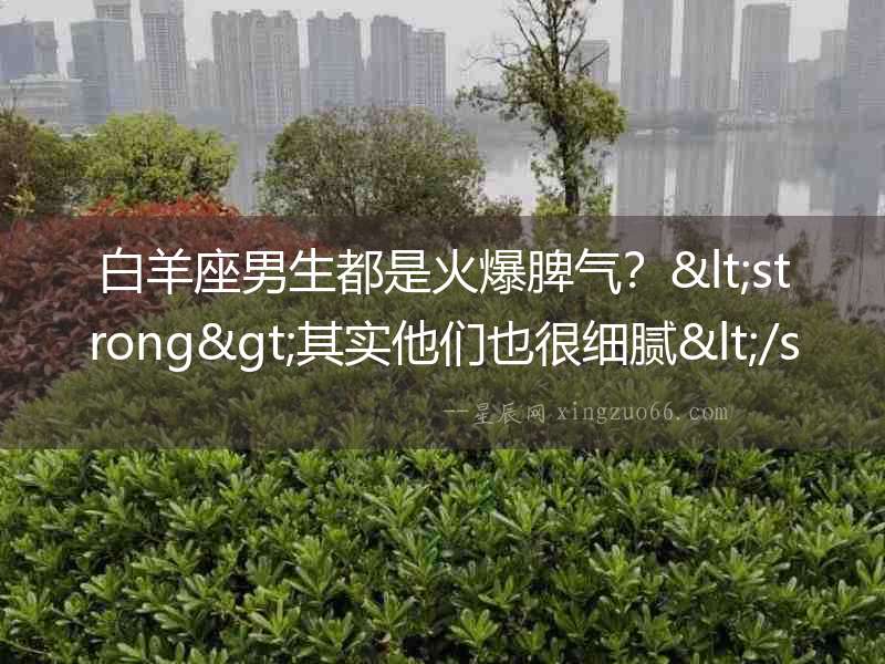 白羊座男生都是火爆脾氣？<strong>其實他們也很細膩</strong>