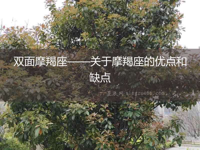 雙面摩羯座——關于摩羯座的優(yōu)點和缺點