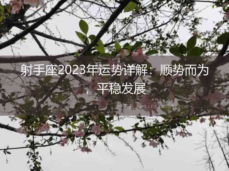 射手座2023年運勢詳解：順勢而為，平穩發展