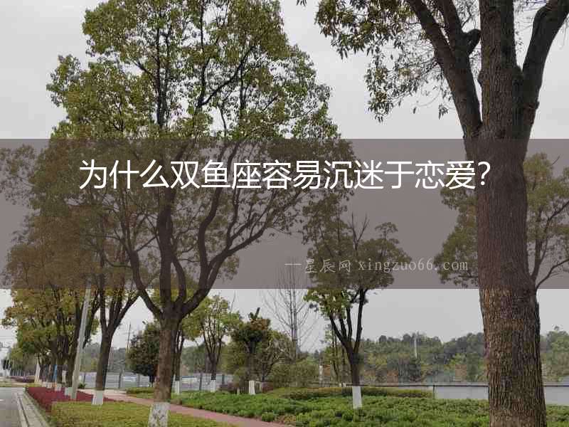 為什么雙魚座容易沉迷于戀愛？